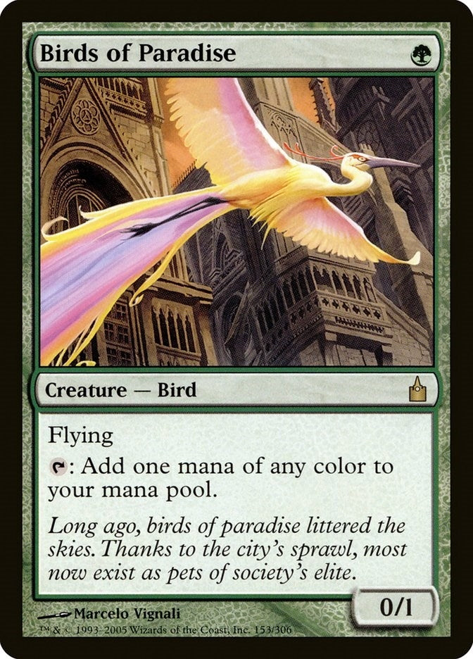 Birds of Paradise (153) [RAV]