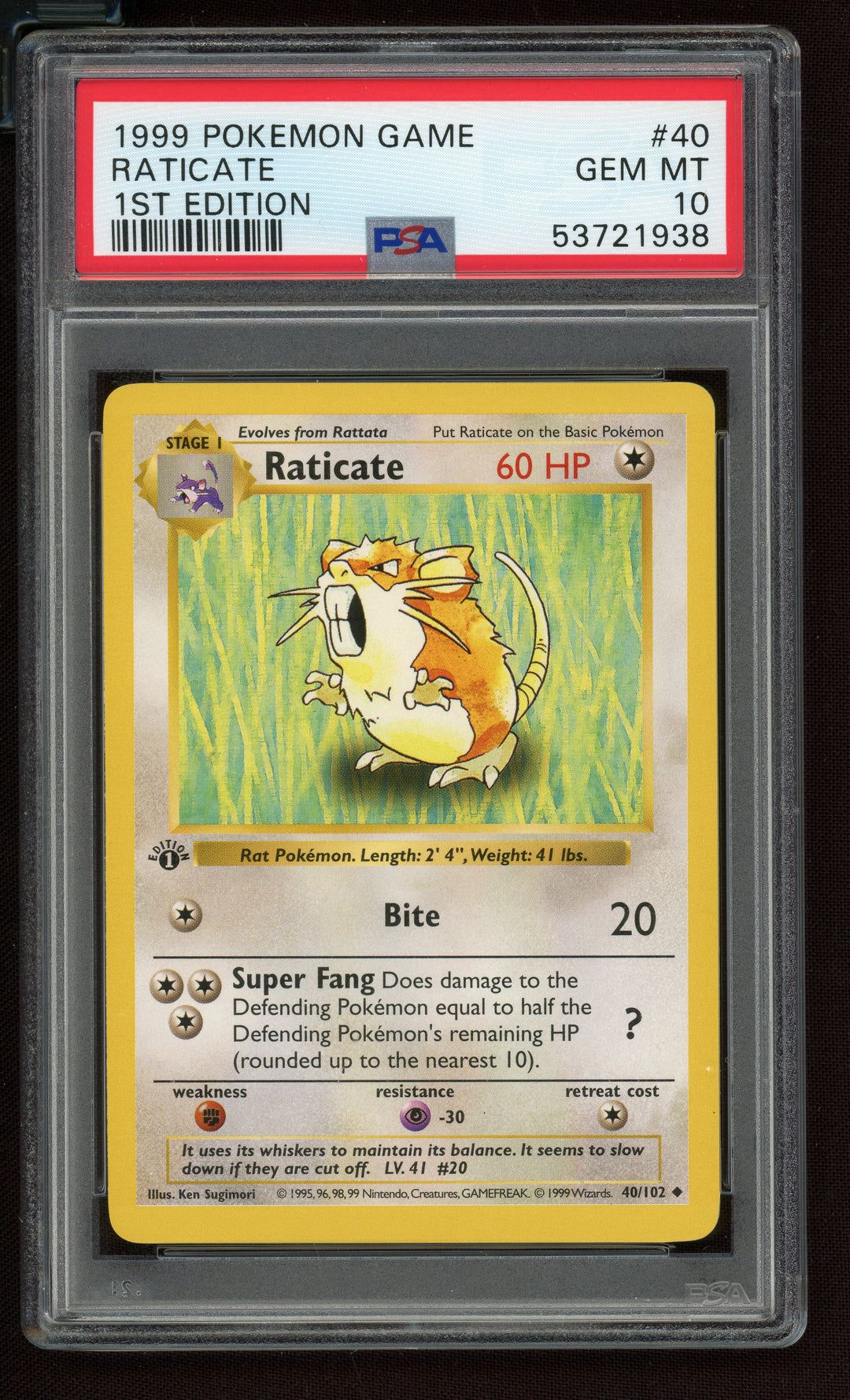 Raticate PSA 10 (Shadowless 1st Edition)