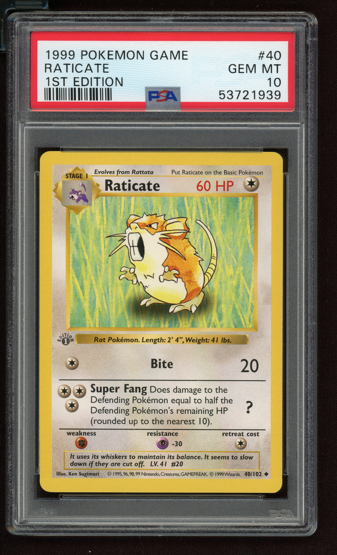 Raticate PSA 10 (Shadowless 1st Edition)