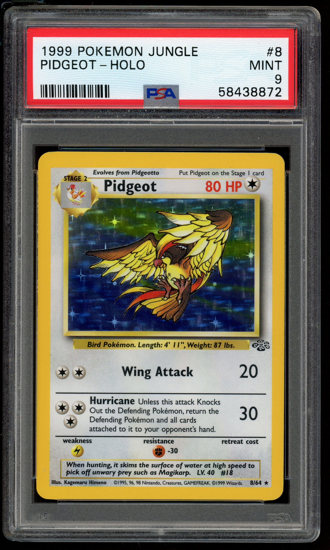 Pidgeot PSA 9 (Jungle)